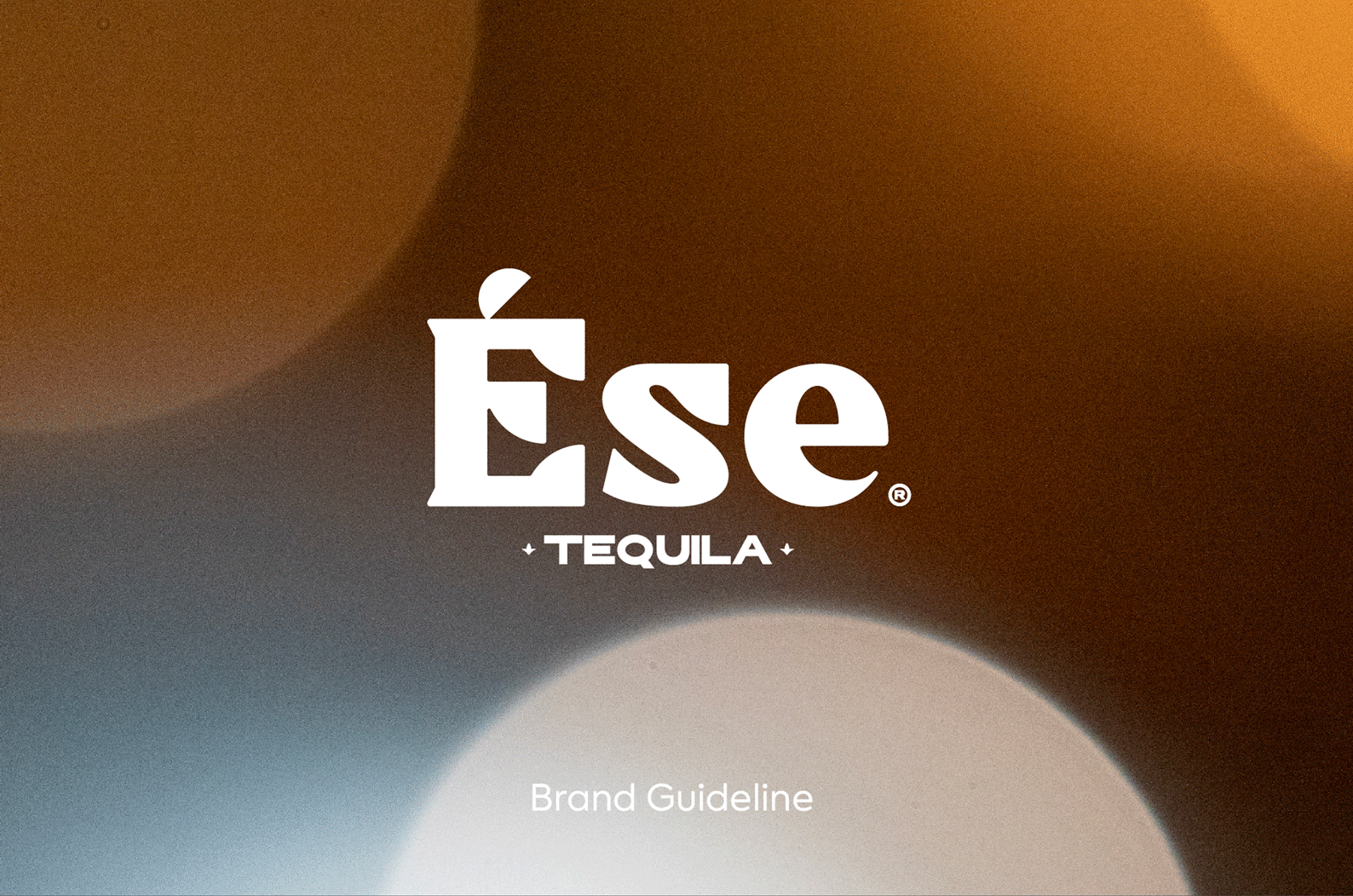 Brand Identity – Verbal & Visual